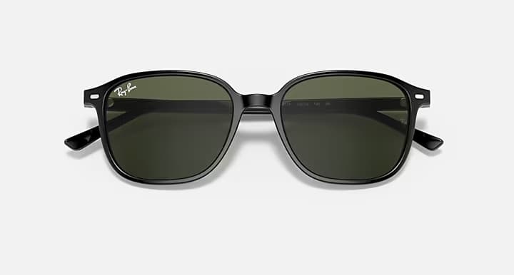 Ray-Ban LEONARD RB2193 901/31 — yakın çekim