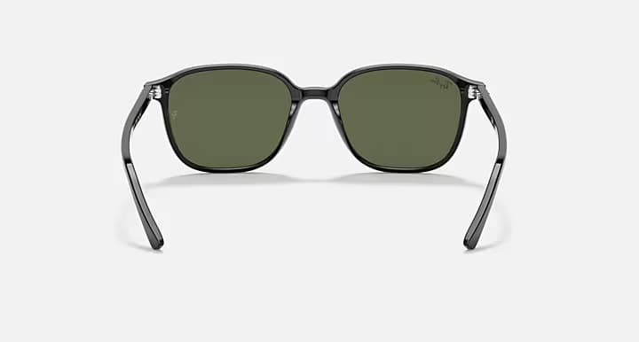 Ray-Ban LEONARD RB2193 901/31 — arkadan