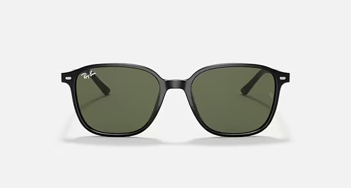 Ray-Ban LEONARD RB2193 901/31 — önden