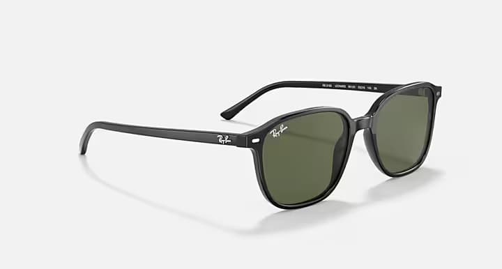 Ray-Ban LEONARD RB2193 901/31 — açılı